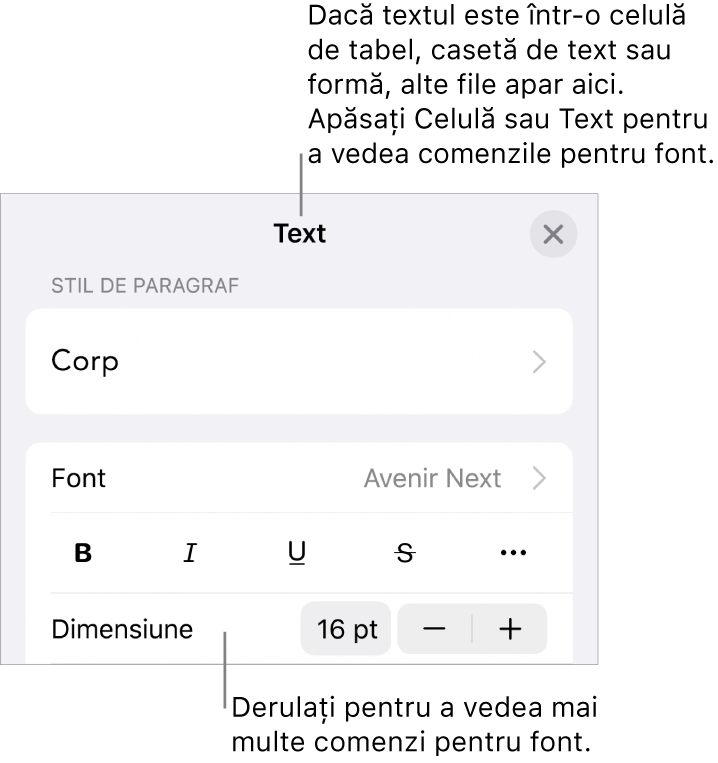 Comenzi text din meniul Format pentru configurarea paragrafelor și a stilurilor, fonturilor, dimensiunii și culorii caracterelor.