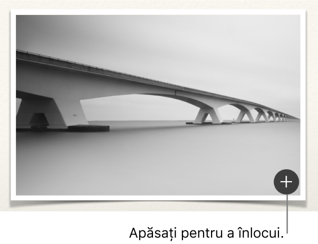 Imagine cu butonul Înlocuiți imaginea.