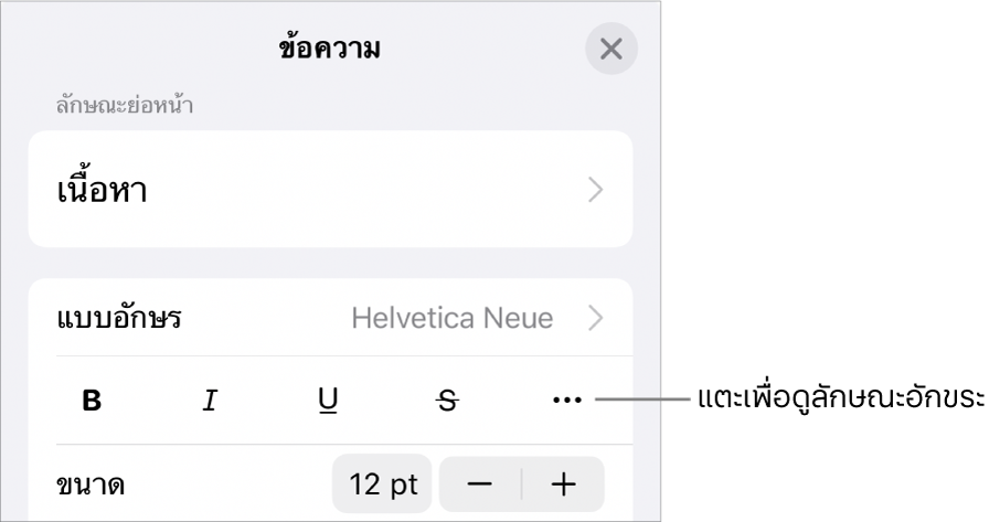 ตัวควบคุมรูปแบบ ซึ่งได้แก่ ปุ่มตัวหนา ปุ่มตัวเอียง ปุ่มขีดเส้นใต้ ปุ่มขีดทับ และปุ่มตัวเลือกข้อความเพิ่มเติม