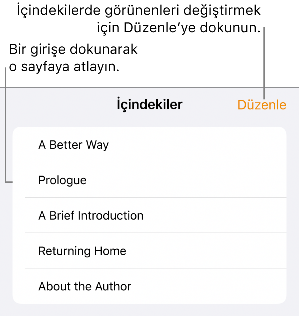 Listedeki konu başlıklarıyla birlikte içindekiler görüntüsü. Düzenle düğmesi sağ üst köşededir, en altta da Sayfa Küçük Resmi ve İçindekiler düğmeleri bulunur.