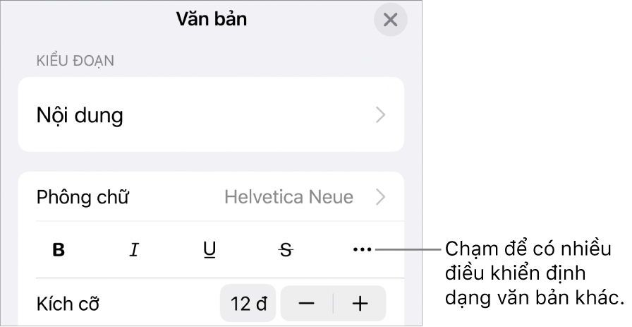 Tab Văn bản của điều khiển Định dạng, với lời nhắc đến nút Tùy chọn văn bản khác.