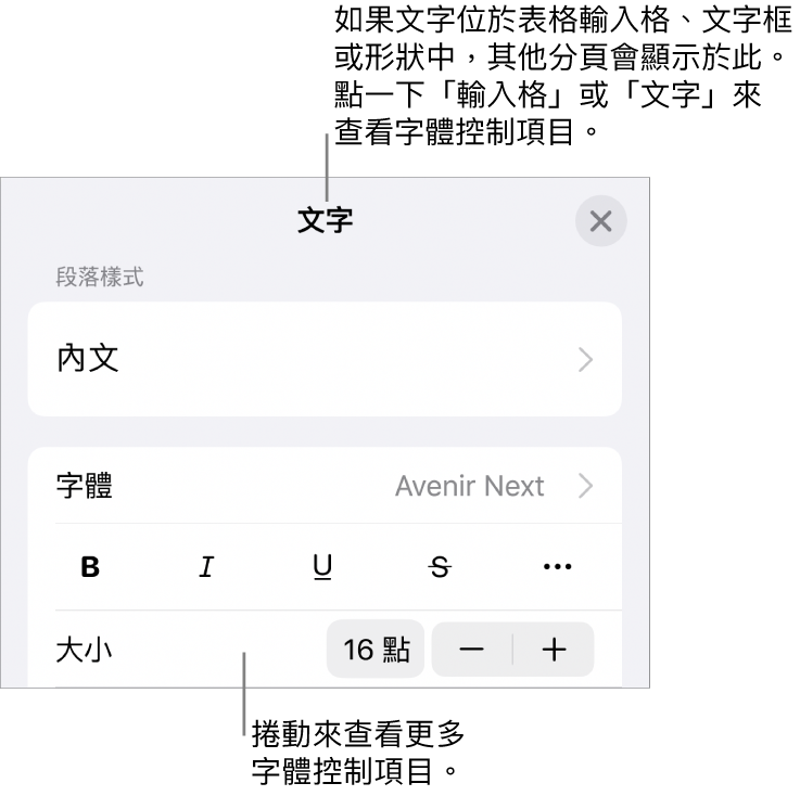 「格式」選單中設定段落及字元樣式、字體、大小和顏色的文字控制項目。