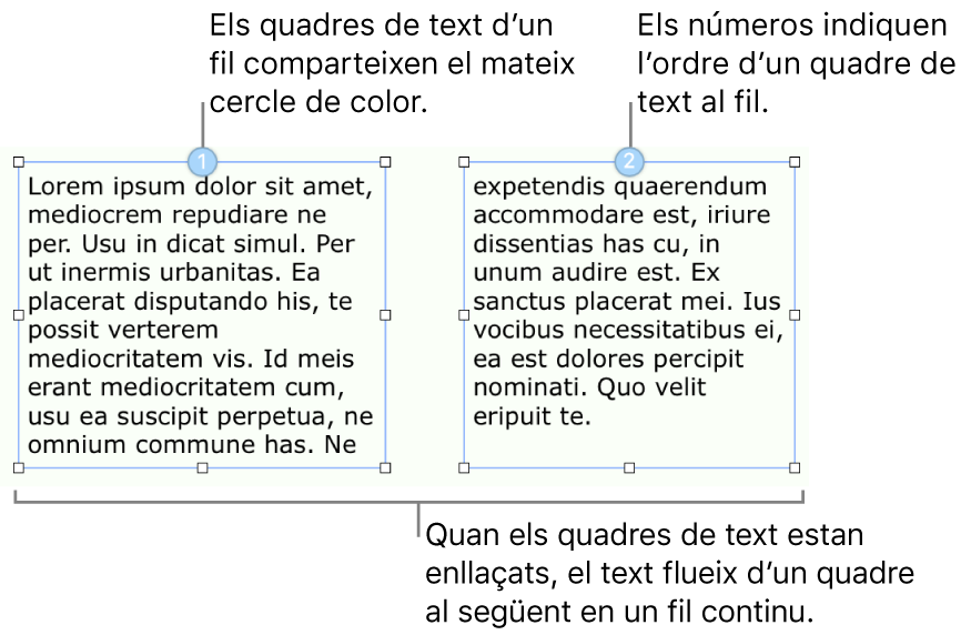 Dos quadres de text amb cercles de color blau a la part superior i els números 1 i 2 als cercles.
