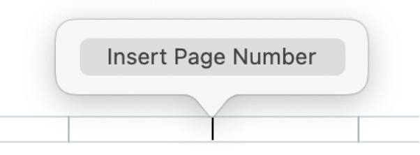 The Insert Page Number button below the header.