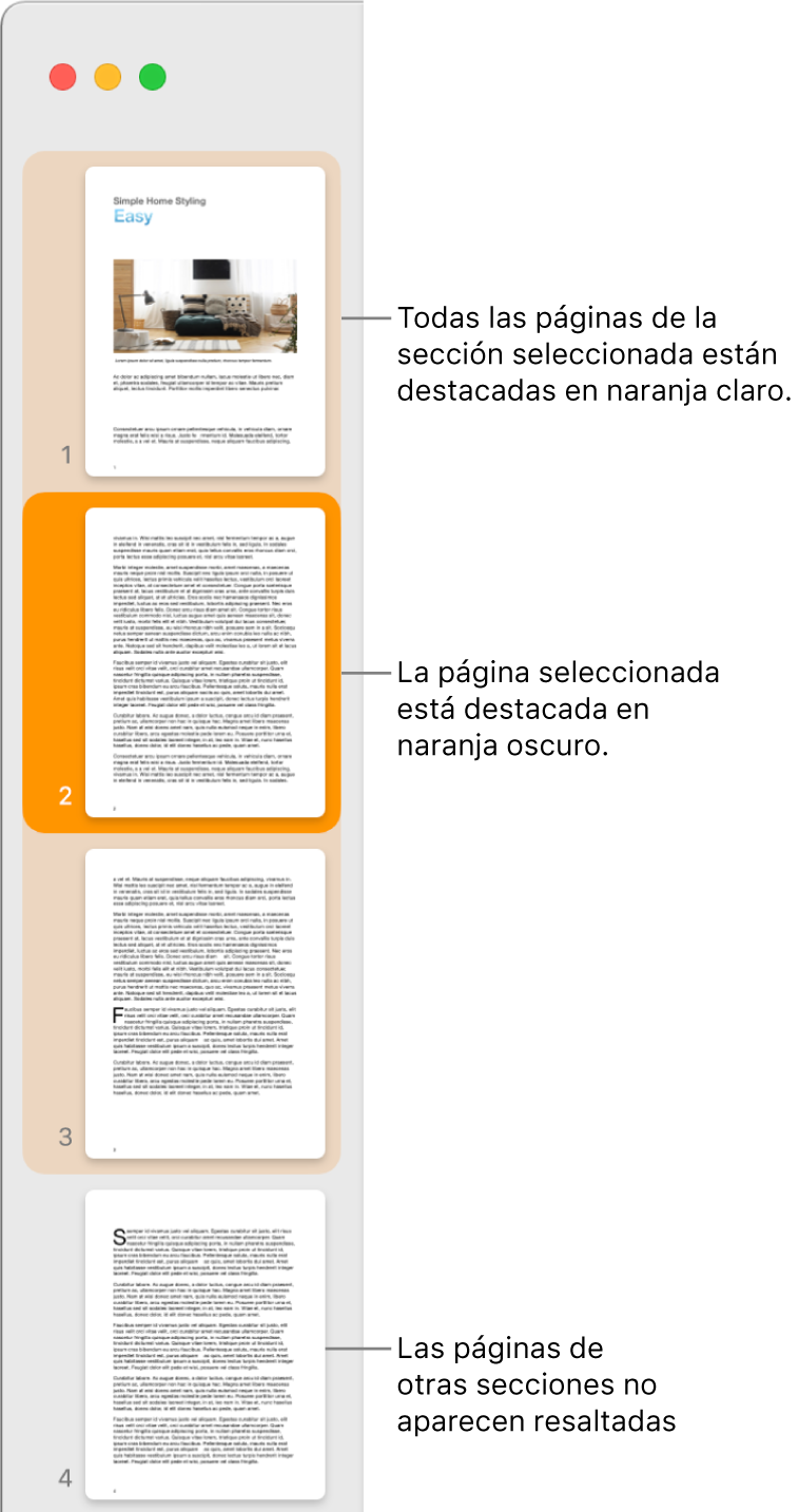 La barra lateral de visualización de miniaturas con la página seleccionada resaltada en naranja oscuro y todas las páginas de la sección seleccionada resaltadas en naranja claro.