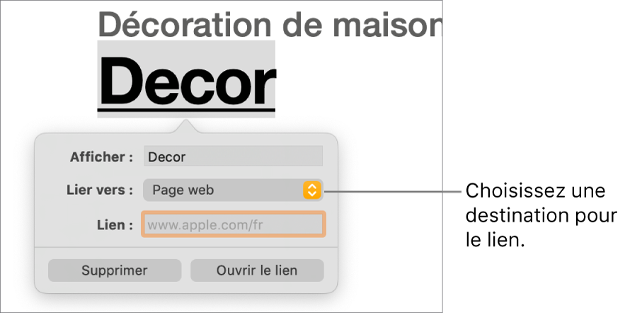 L’éditeur de liens avec le champ Affichage, le menu local « Lien vers » (défini sur « Page web ») et le champ Lien. Les boutons Supprimer et « Ouvrir le lien » se trouvent au bas des commandes.