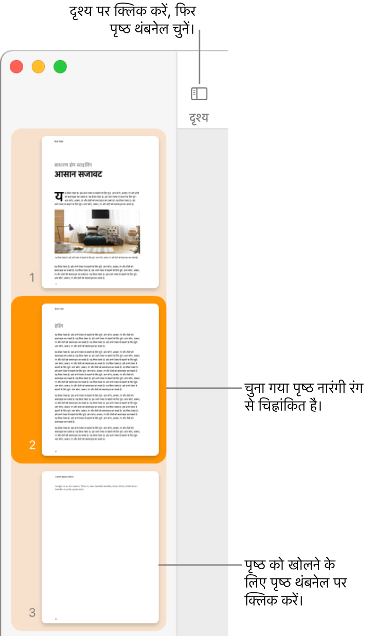 खुले हुए पृष्ठ थंबनेल दृश्य और गहरे नारंगी रंग से चिह्नांकित चुने गए पृष्ठ के साथ Pages विंडो के बाईं ओर साइडबार।