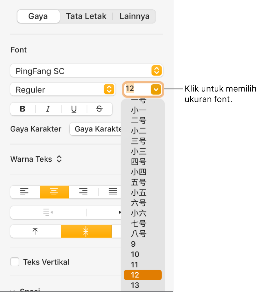 Bagian Gaya pada bar samping Format dengan menu pop-up ukuran font terbuka. Ukuran font standar pemerintah Tiongkok daratan muncul di bagian atas menu pop-up dengan ukuran poin di bawah.