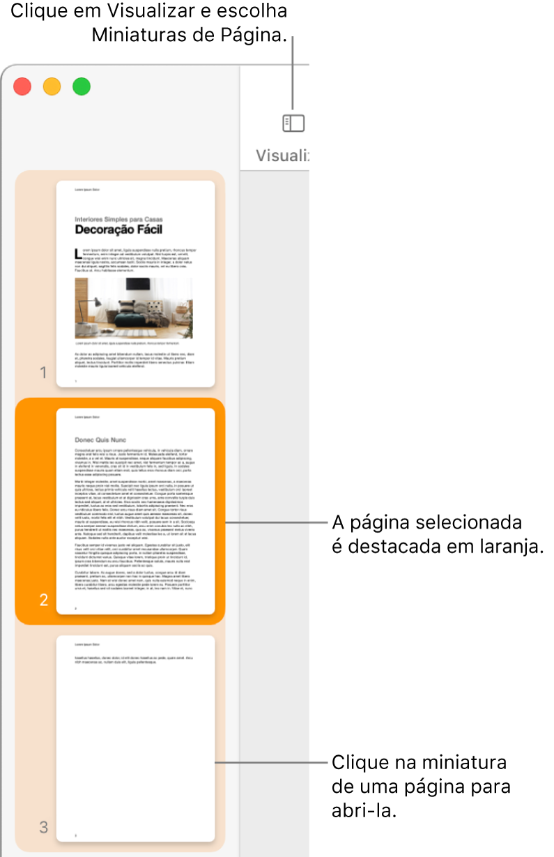 Barra lateral no lado esquerdo da janela do Pages, com a visualização de Miniaturas de Página aberta e uma página selecionada destacada em laranja escuro.