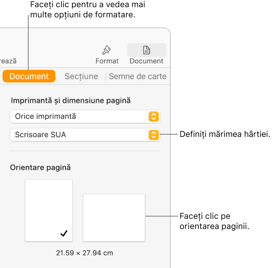 Bara laterală Document cu fila Document selectată în partea de sus a barei laterale. În bara laterală se află un meniu pop‑up pentru configurarea mărimii hârtiei și butoane pentru orientarea paginii în modul portret sau peisaj.