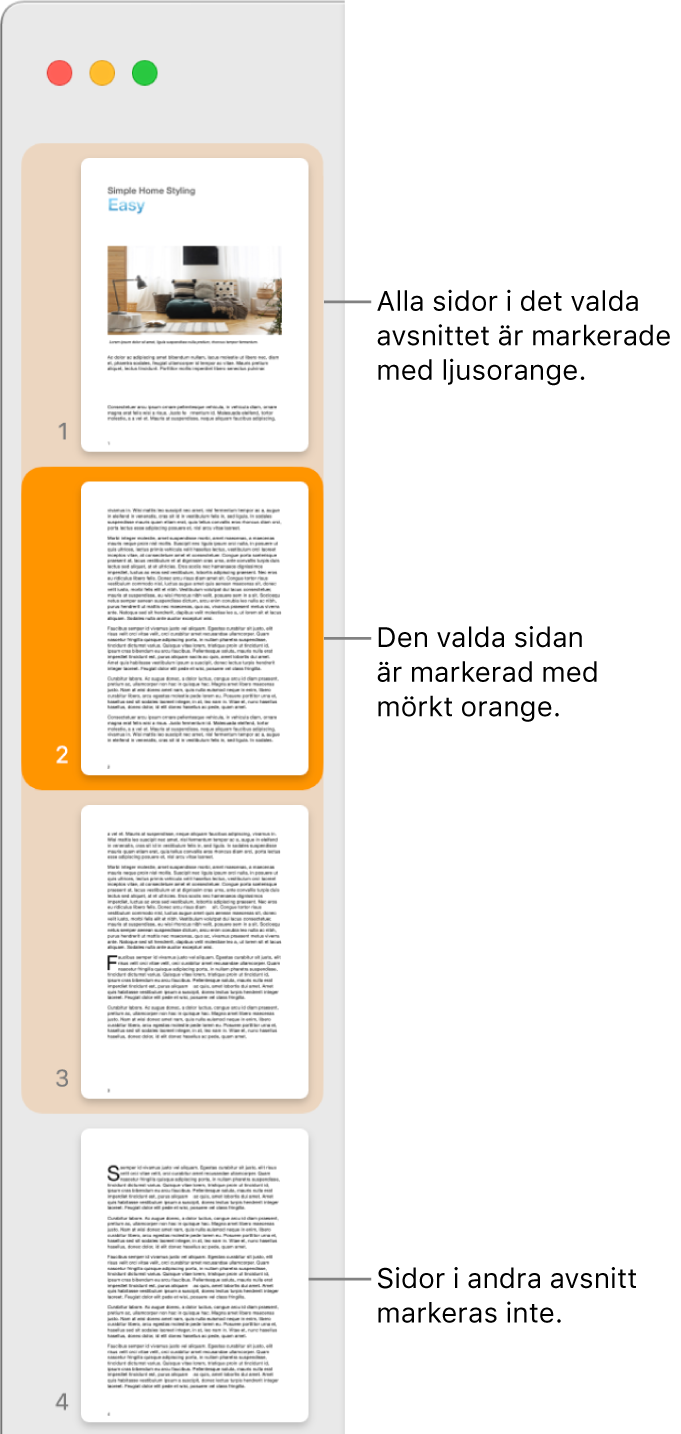 Sidofältet Miniatyrvy med den valda sidan markerad med mörkt orange och alla sidor i det valda avsnittet markerade med ljust orange.