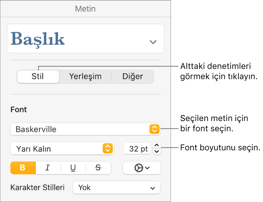 Fontu ve font puntosunu ayarlamak için Biçim kenar çubuğunun Stil bölümündeki metin denetimleri.