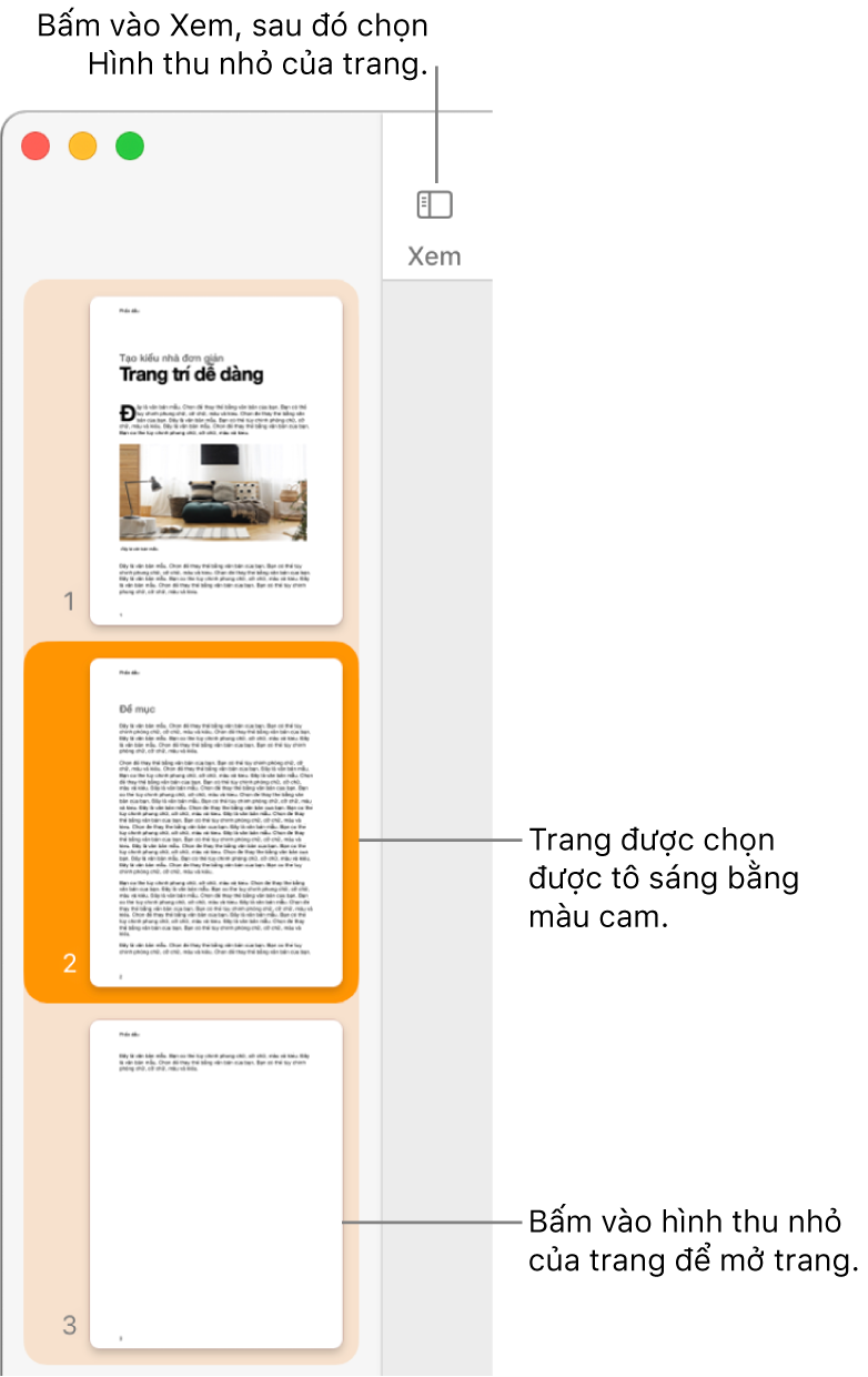 Thanh bên ở bên trái của cửa sổ Pages với chế độ xem Hình thu nhỏ của trang được mở và trang được chọn được tô sáng ở màu cam sẫm.