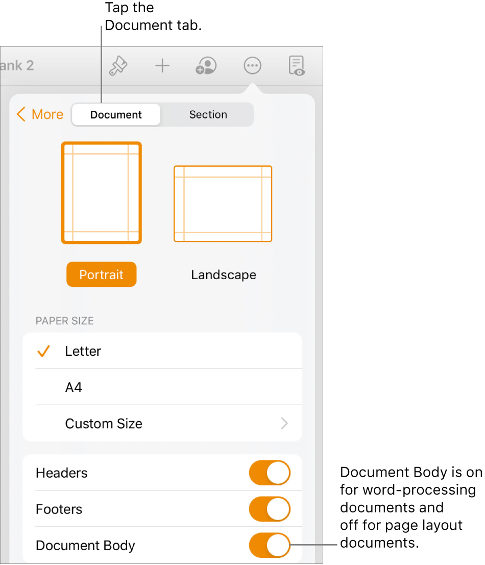 The Document format controls with Document Body turned on near the bottom of the screen.