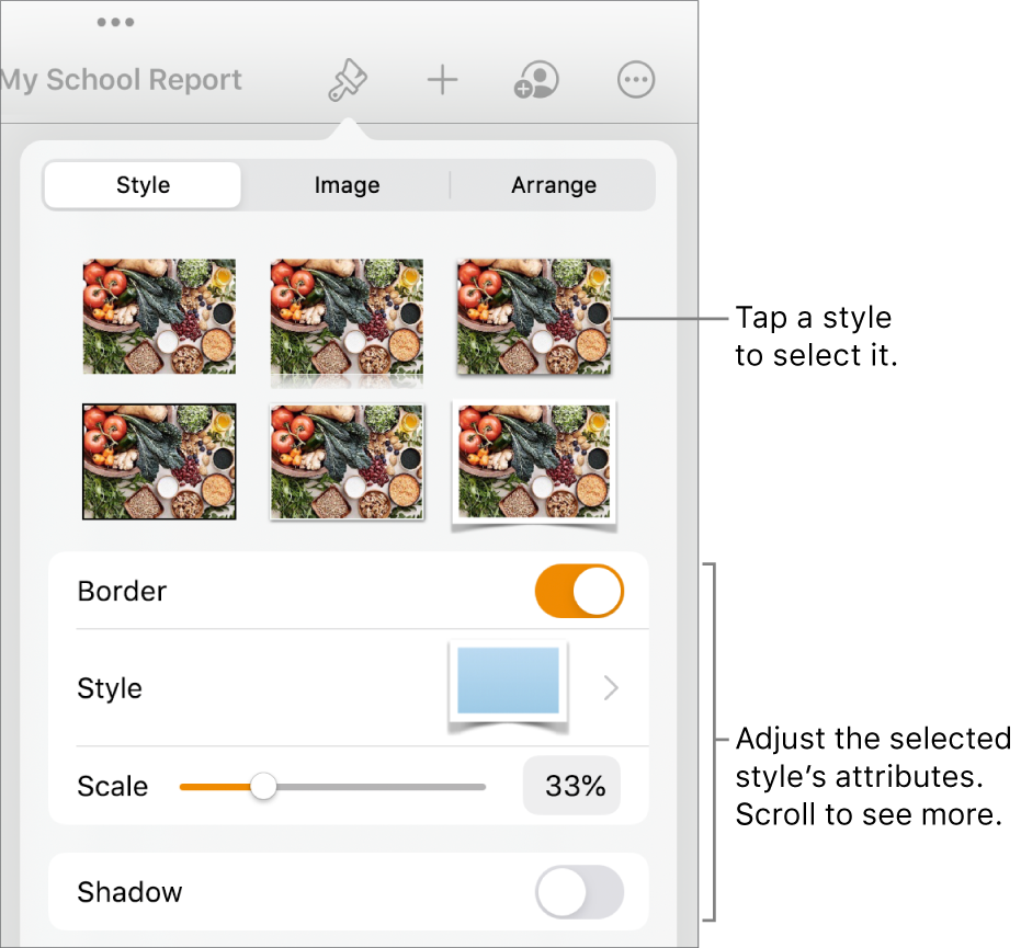 The Style tab of the Format menu with object styles at the top and controls below them to change the border, shadow, reflection and opacity.