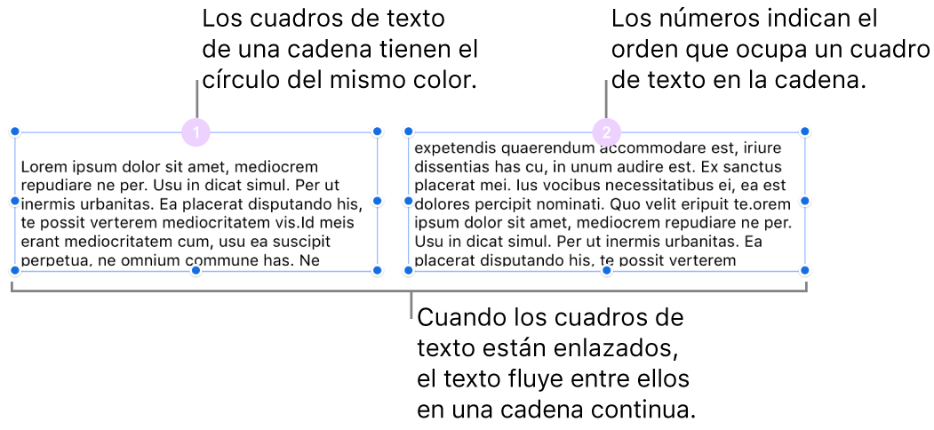 Dos cuadros de texto con círculos de color lila en la parte superior y los números 1 y 2 dentro de los círculos.