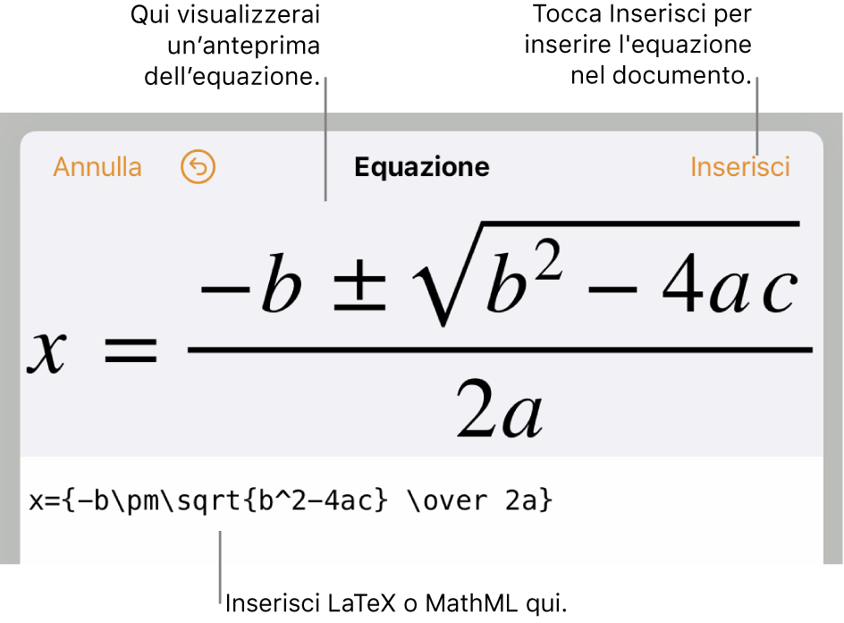 La finestra di modifica dell'equazione che mostra la formula quadratica scritta tramite comandi LaTeX e un'anteprima della formula sopra.