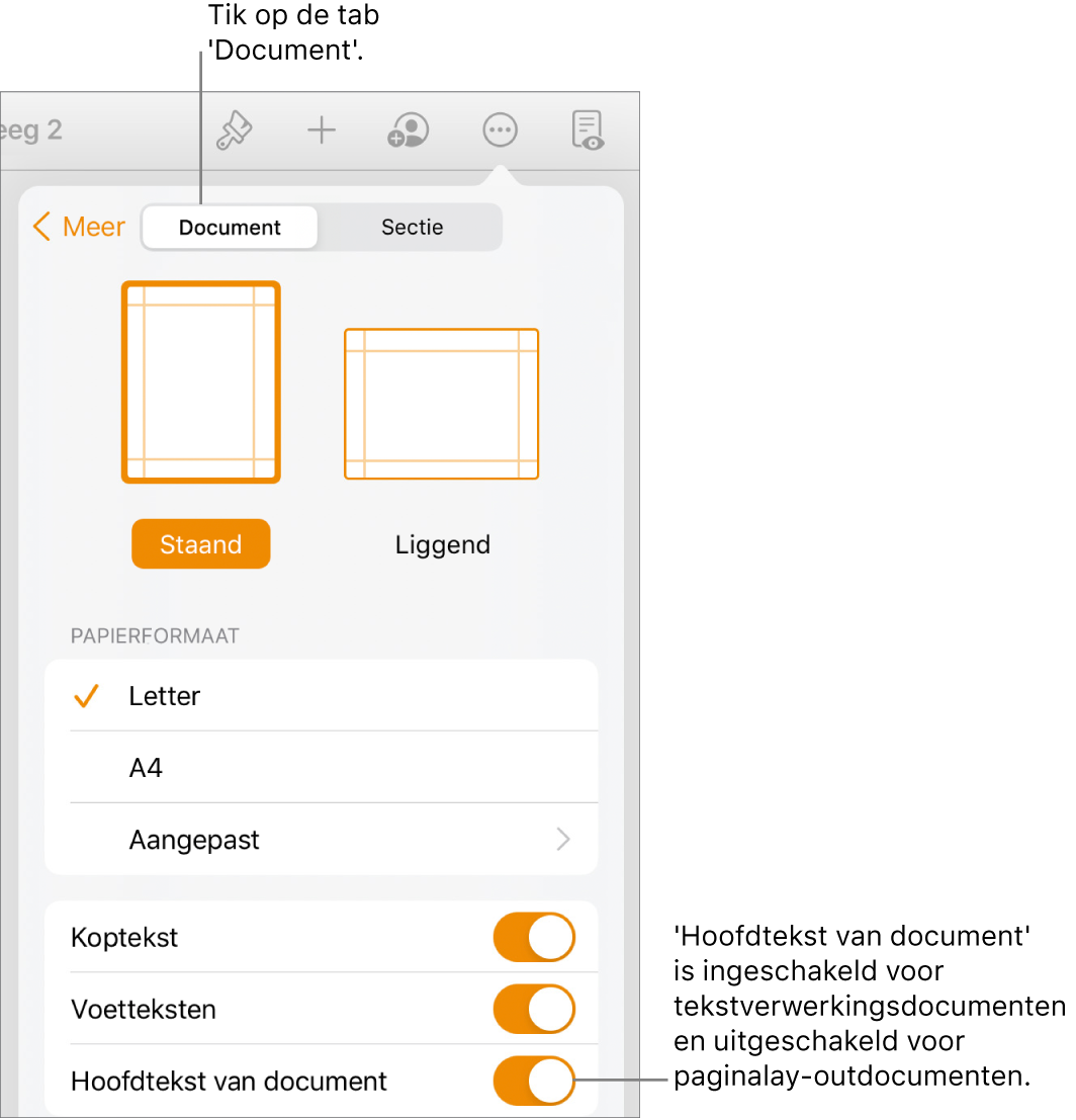 De opmaakregelaars in het tabblad 'Document'. 'Hoofdtekst van document' staat onder in het scherm en is ingeschakeld.