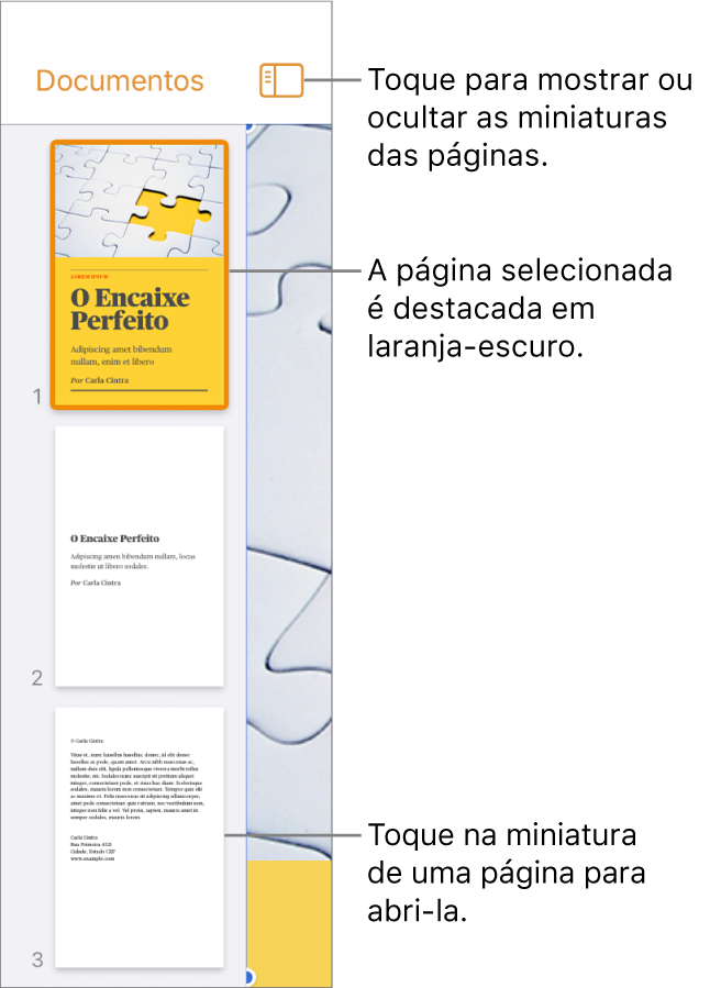Visualização de Miniaturas de Página na parte esquerda da tela com uma seção de duas páginas, uma linha separadora e uma página da seção seguinte. O botão Visualizar aparece acima das miniaturas.
