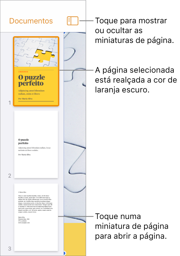 A vista de miniaturas das páginas no lado esquerdo do ecrã com uma secção de duas páginas, uma linha separadora e depois uma página da secção seguinte. O botão Visualização está por cima das miniaturas.