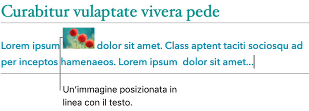 Un’immagine posizionata in linea con il testo.