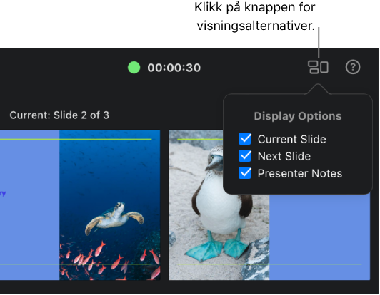 Presentatørskjermen med Visningsalternativer-lokalmenyen øverst til høyre åpnes for å vise visningsalternativene. Det er merket av i avmerkingsboksene for Gjeldende lysbilde, Neste lysbilde og Presentatørnotater.