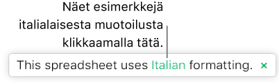 Ilmoitus siitä, että laskentataulukossa käytetään italialaista muotoilua.