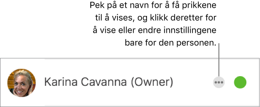 De tre prikkene ved siden av navnet i deltakerlisten.