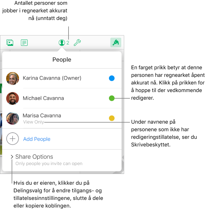 Deltakerlisten i et delt regneark.