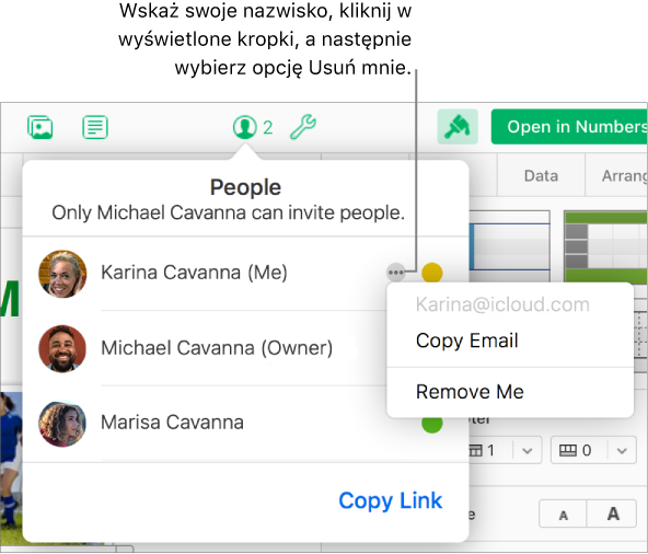 Opcja Usuń mnie na liście użytkowników.