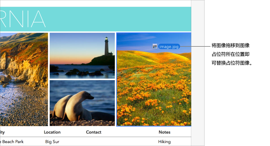正在将新图像文件拖到占位符图像所在位置。