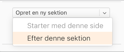 Lokalmenuen "Opret en ny sektion" er åben, og "Efter denne sektion" er valgt.