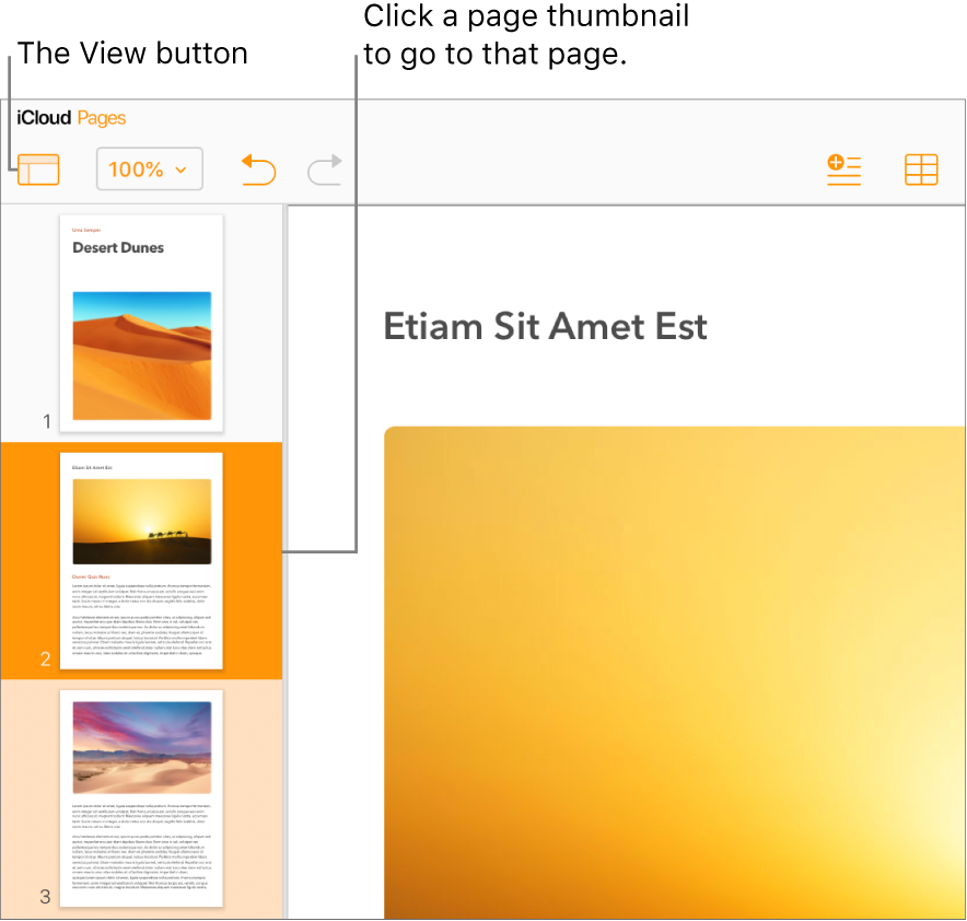 Page thumbnails in the left sidebar, with the selected page highlighted in dark orange and one other page in the same section highlighted in light orange.