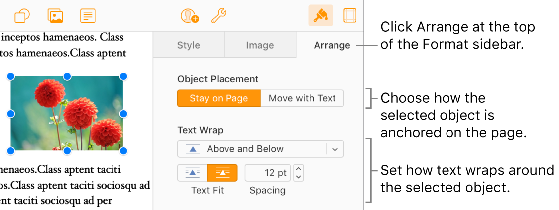 An image is selected in the document body; the Arrange tab of the Format sidebar shows the object is set to Stay on Page with text wrapping above and below the object.