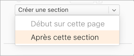 Le menu contextuel Créer une section s’ouvre, et l’option Après cette section est sélectionnée.