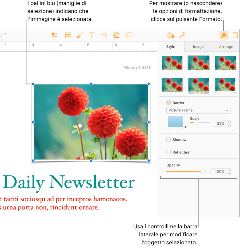 Nel documento è selezionata un’immagine e nella barra laterale destra vengono mostrati i controlli per modificarne l’aspetto (per esempio, caselle di controllo per bordo e ombreggiatura).