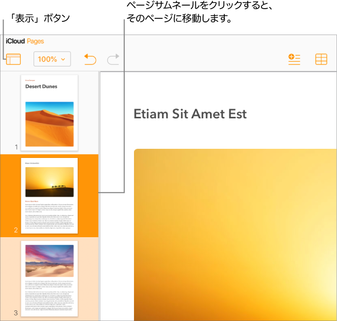左サイドバーのページのサムネール。選択したページは濃いオレンジ色で強調表示され、同じセクションに属するもう1つのページは薄いオレンジ色で強調表示されています。