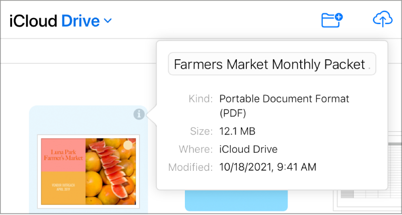 O painel Informações de uma imagem armazenada no iCloud Drive. O nome de arquivo "Balões" é editável.