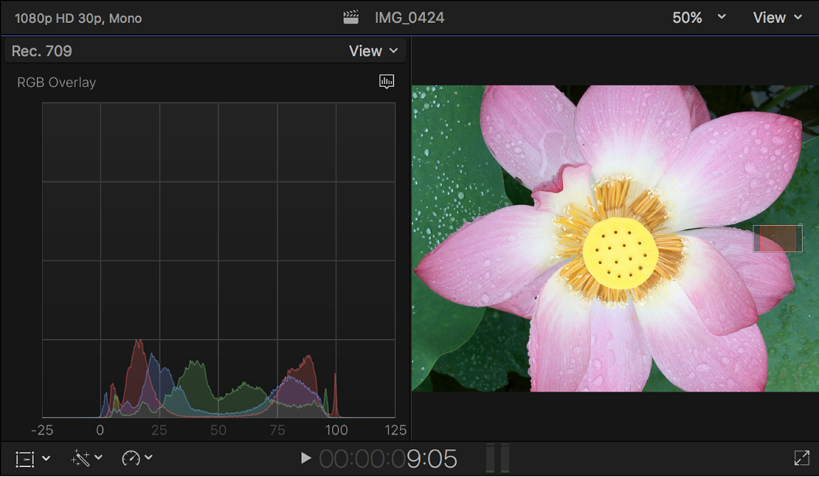 The RGB Overlay histogram shown to the left of the viewer