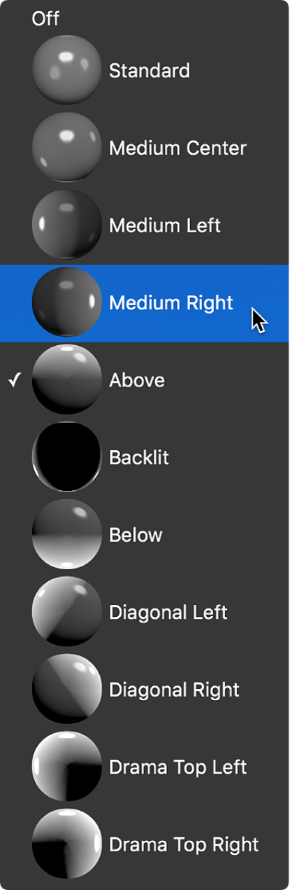 「テキスト」インスペクタの「ライティング」セクションにある「ライトのスタイル」ポップアップメニュー。「中間、右」が選択されている
