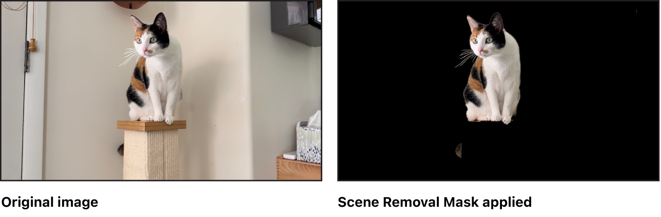 原始图像和应用“场景移除遮罩”后图像的并排对比。