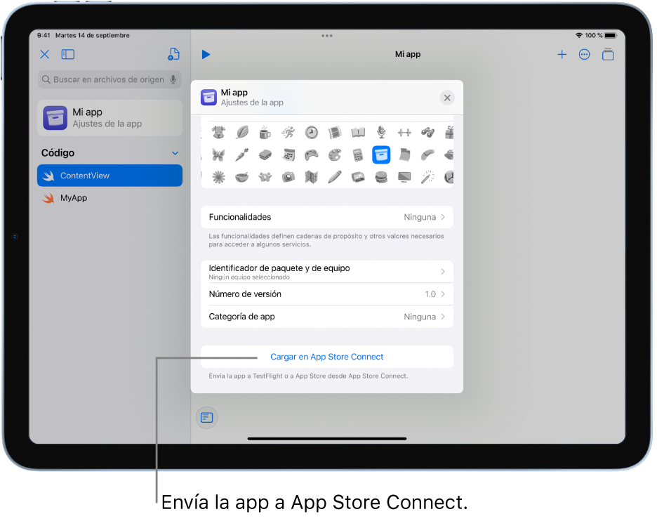 La ventana “Ajustes de la app” de una nueva app. Puedes usar los controles de esta ventana para identificar tu app y cargarla en App Store Connect.