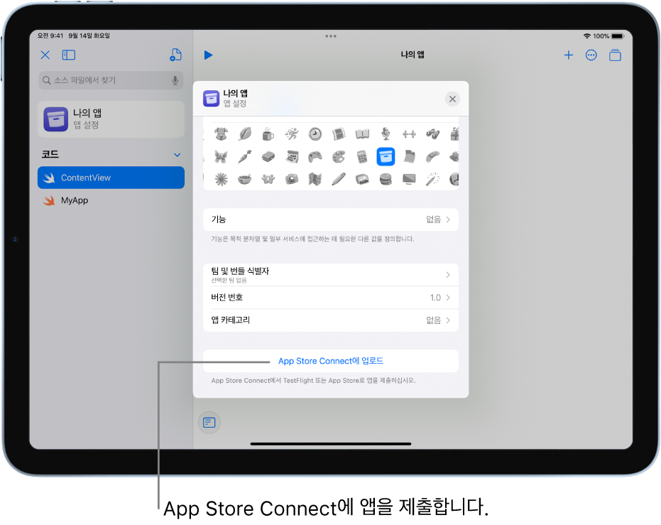 새로운 앱의 앱 설정 윈도우. 이 윈도우에서 제어기를 사용하여 앱을 식별하고 App Store Connect에 앱을 업로드할 수 있음.