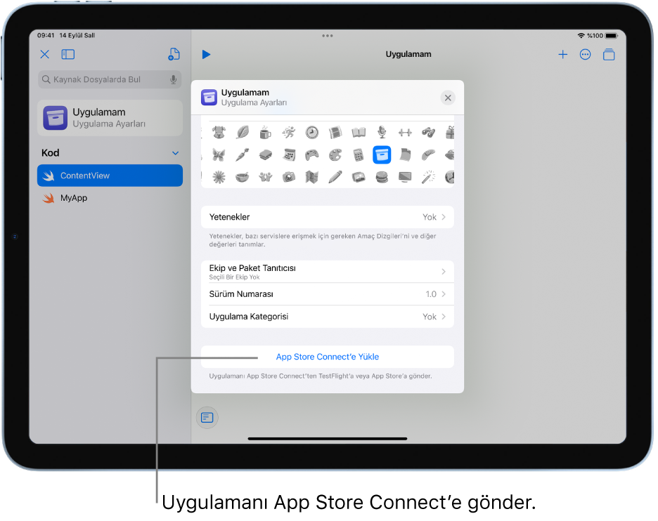 Yeni bir uygulama için Uygulama Ayarları penceresi. Uygulamanı tanımlamak için bu penceredeki denetimleri kullanabilir ve onu App Store Connect’e yükleyebilirsin.