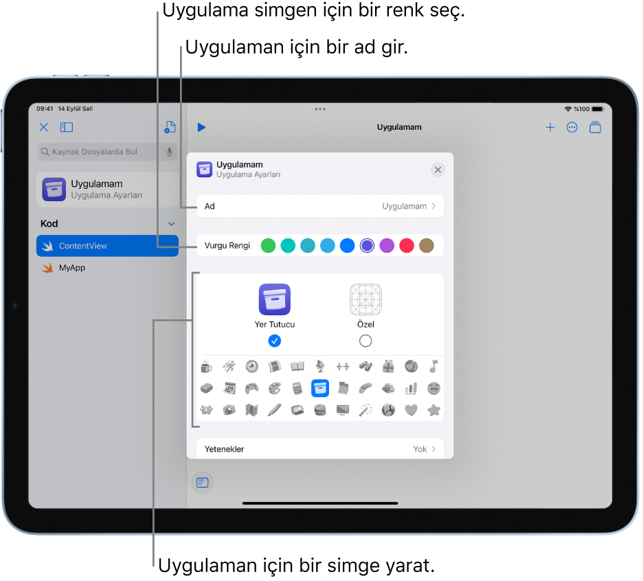 Uygulamanın adını, renkleri ve uygulama simgesi yaratmak için kullanılabilecek resimleri gösteren Uygulama Ayarları penceresi.