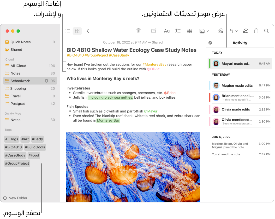 نافذة في تطبيق الملاحظات في عرض المعرض تظهر بها وسيلة شرح للوسوم في الشريط الجانبي. في الملاحظة الرئيسية، توجد وسيلة شرح لوسم وإشارة. على اليسار، توجد قائمة أنشطة بها وسيلة شرح لعرض ملخص التحديثات.