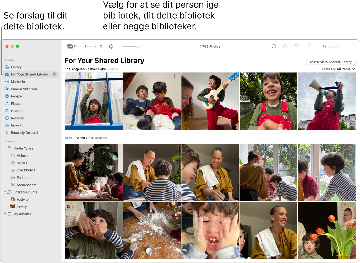 Vinduet Fotos, der både viser det personlige bibliotek og det delte bibliotek, med forslag til fotos til det delte bibliotek.