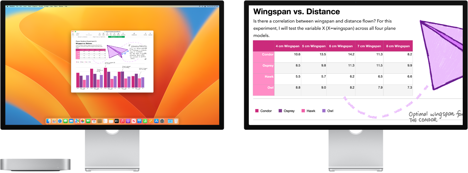 Zoom Display is active on the secondary display, while the screen size stays fixed on the left display.