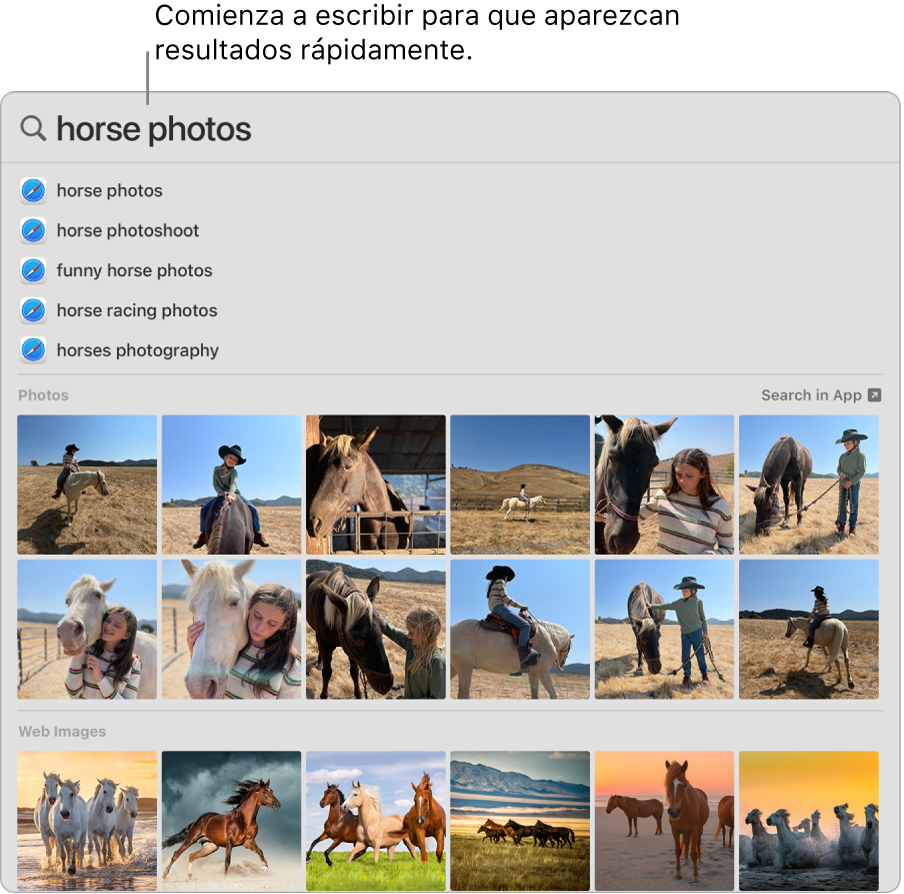 La ventana de Spotlight mostrando los resultados de una búsqueda de fotos de caballos.