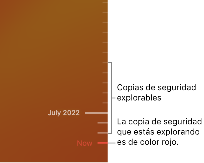 El control temporal de la copia de seguridad de Time Machine.